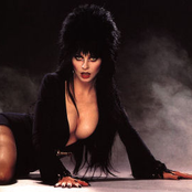 Elvira lyrics