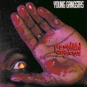 Young Gangstas lyrics