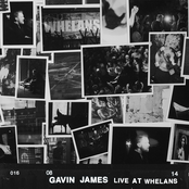 Gavin James lyrics