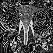 And The Elephants lyrics
