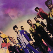 Prince & The N.P.G. lyrics