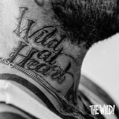 The Wild! lyrics